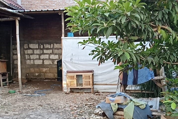 Lokasi kandang ayam milik Albi yang digasak maling. FOTO ISTIMEWA