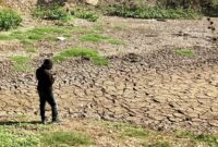 ILUSTRASI KEKERINGAN: Sebuah embung atau penampungan air yang digunakan untuk mengairi lahan pertanian nampak kering dan permukaan tanah pecah-pecah akibat musim kemarau. FOTO ISTIMEWA