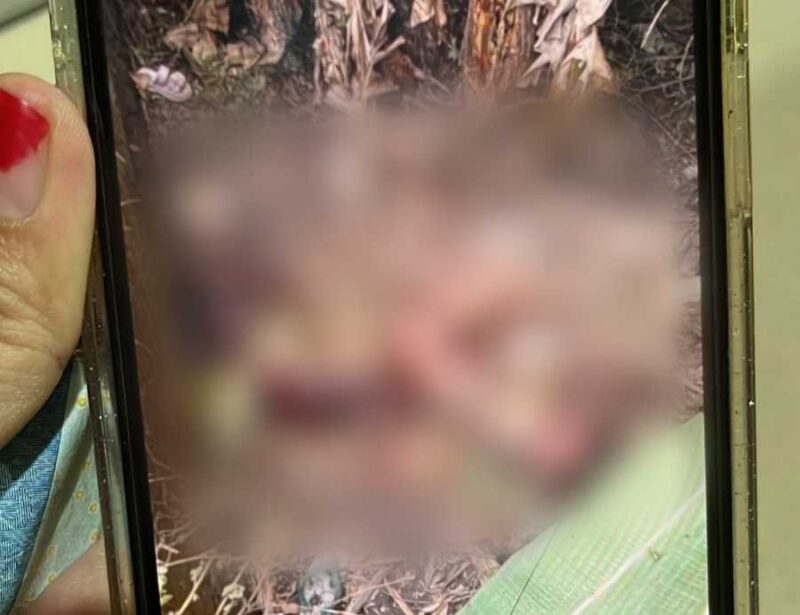 Jasad ibu dan anak ditemukan tewas di Eks Asrama Polri Jombang. (Istimewa) 