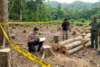 Ilustrasi polisi saat melakukan olah TKP di hutan Wonosalam. (MITRAMEDIA.CO) 