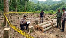 Ilustrasi polisi saat melakukan olah TKP di hutan Wonosalam. (MITRAMEDIA.CO) 