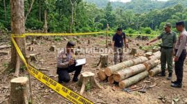 Ilustrasi polisi saat melakukan olah TKP di hutan Wonosalam. (MITRAMEDIA.CO) 