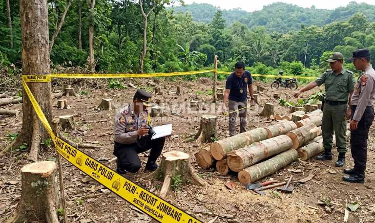 Ilustrasi polisi saat melakukan olah TKP di hutan Wonosalam. (MITRAMEDIA.CO) 