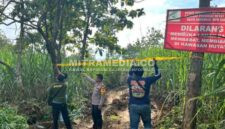 Garis polisi dipasang di Hutan Jombang yang diduga telah di acak-acak oleh ekskavator para pengusaha tebu. (MITRAMEDIA/INDEPTHNEWS) 