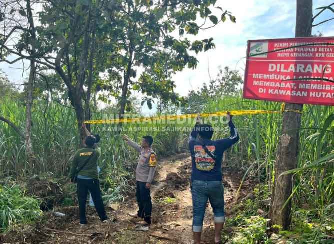 Garis polisi dipasang di Hutan Jombang yang diduga telah di acak-acak oleh ekskavator para pengusaha tebu. (MITRAMEDIA/INDEPTHNEWS) 