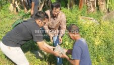 Sekretaris Yayasan Insan Cita Jombang, Drs. Medan Amrullah, M.AP secara simbolis melanjutkan pembangunan Grha Cak Nur di Dusun Jatisari, Desa Pandanwangi, Kecamatan Diwek, Kabupaten Jombang. (MITRAMEDIA)
